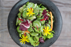 Closeup of broad beans, bacon and chili salad.
