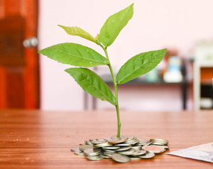 Saving money , save money saving concept