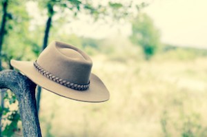 brown cowboy hat hung on the branch in the meadow retro effect