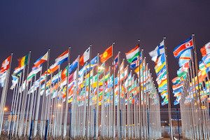 national flags of countries all over the world at night