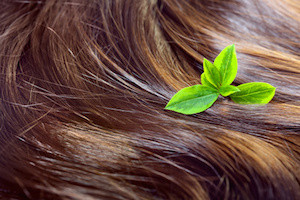 Hair care concept: beautiful healthy shiny hair with highlighted golden streaks and green leaves, closeup shot