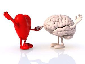 heart brain