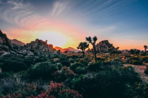 Joshua Tree National Park, United States Joshua Tree National Park, United States