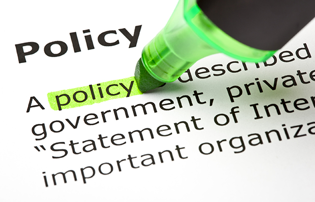 The word 'Policy' highlighted in green