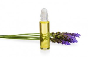essential oil and fresh lavender flowers as natural aromatherapy isolated on white background
