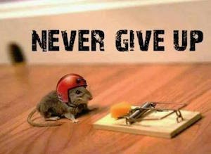never give up