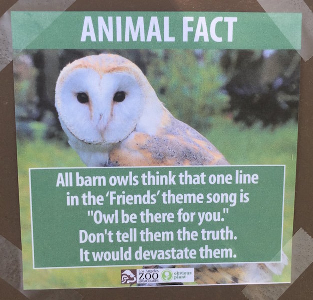 owl sign