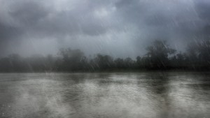 Heavy rain over a river in jungle.