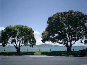 Rangitoto from Tamaki Dr