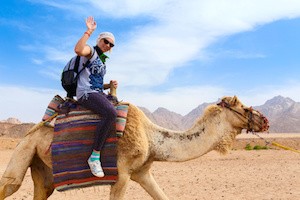 Young caucasian woman tourist riding on camel in Egypt desert